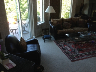 Interior picture of living room with lots of windows