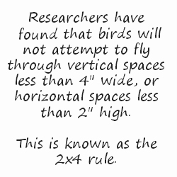 rp_PWT-2×4-bird-rule.jpg